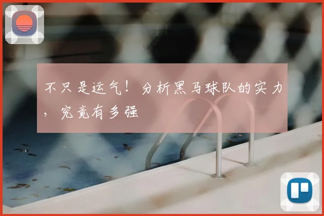 不只是运气!分析黑马球队的实力,究竟有多强