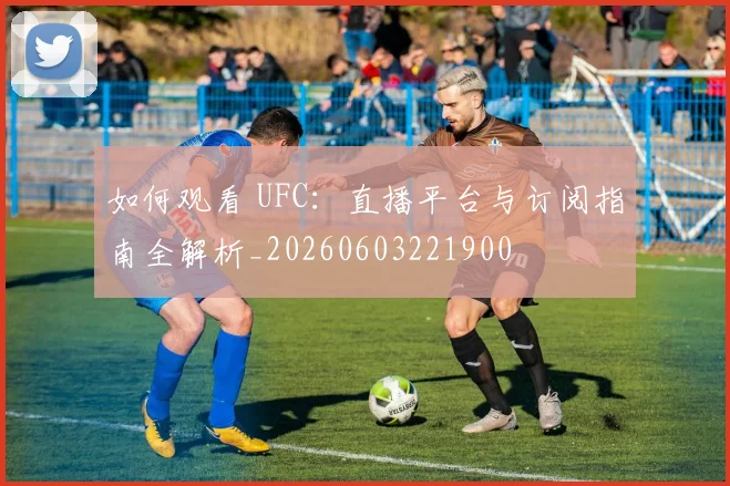如何观看 UFC：直播平台与订阅指南全解析_20260603221900