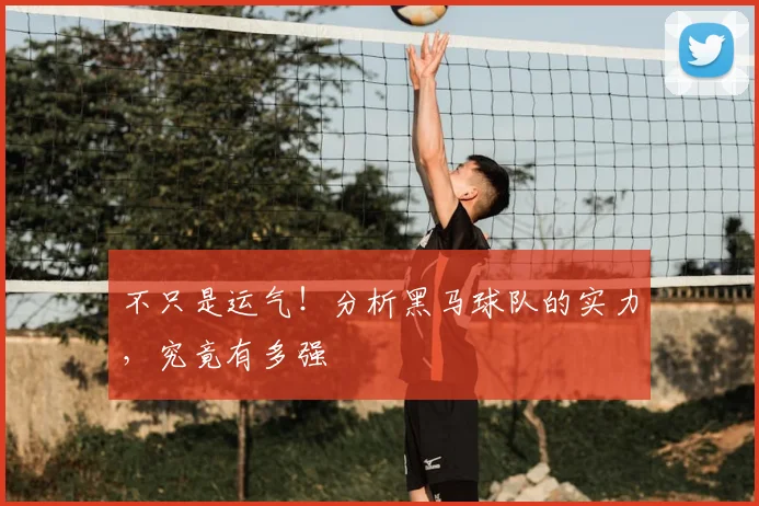 不只是运气！分析黑马球队的实力，究竟有多强