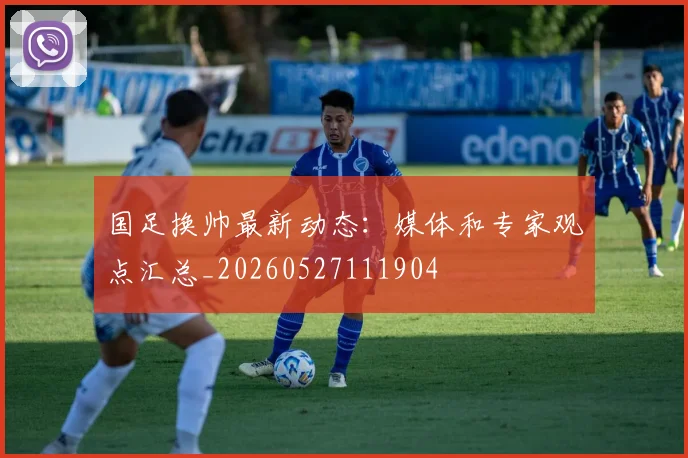 国足换帅最新动态：媒体和专家观点汇总_20260527111904