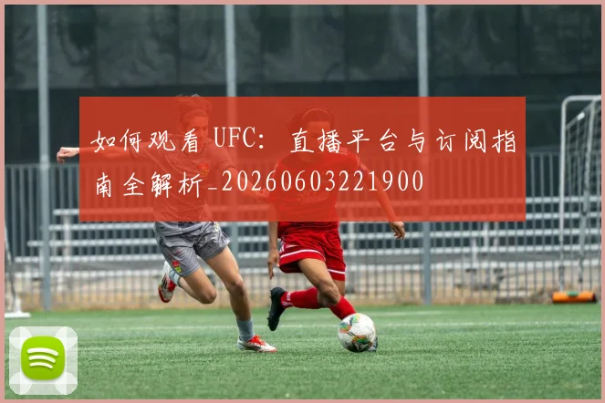 如何观看 UFC：直播平台与订阅指南全解析_20260603221900